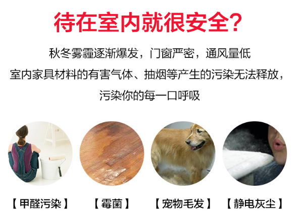 LEYU/乐鱼：新房如何迅速去除甲醛污染？